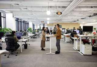 甘肃盘式木片机