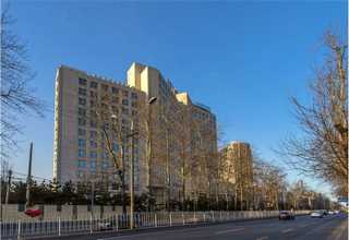 新疆甲醇燃烧机