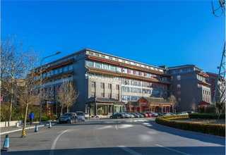 嘉定区多人撸猫宠物店