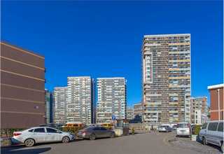 浦东新区盆景绿植租赁价格