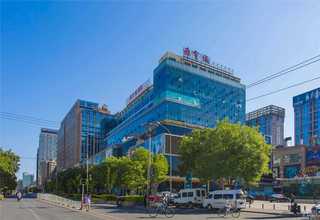 茂名迷你新能源汽车平板电卡